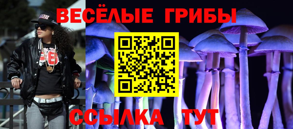 Псилоцибиновые грибы Psilocybine cubensis Астрахань
