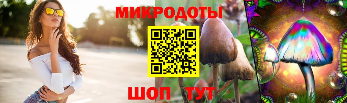 Галлюциногенные грибы GOLDEN TEACHER  Вход с VPN  Астрахань 